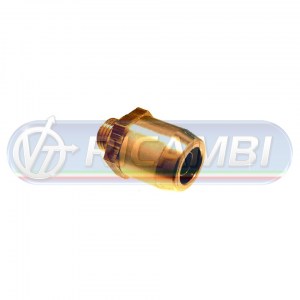 54200----54227 copia25